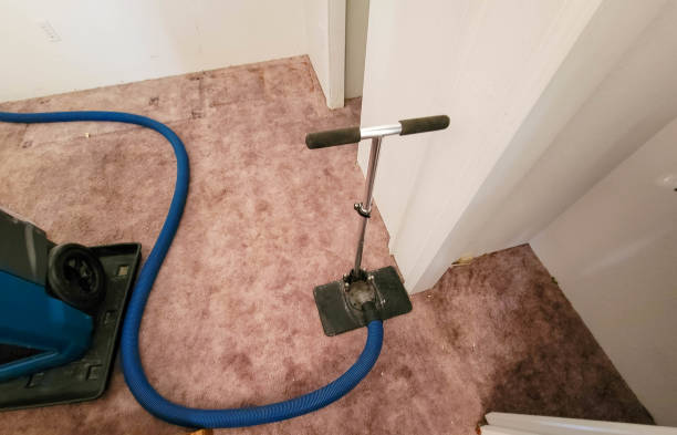 the best Fast Dry Carpet Cleaning Mobile AL
