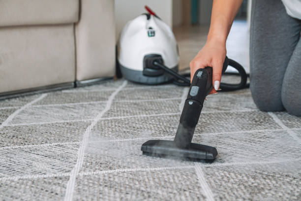 advanced hot water extraction carpet cleaning Mobile AL