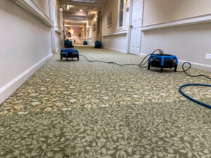 Non-Wet Carpet Cleaning Mobile AL area
