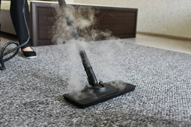 professional residential steam carpet cleaning Mobile AL