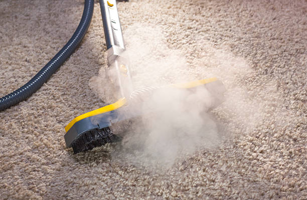 the best Steam Carpet Cleaning Mobile AL