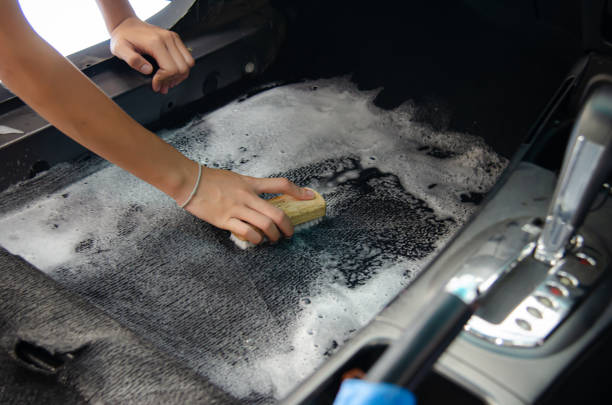 the best Upholstery Cleaning Services Mobile AL​