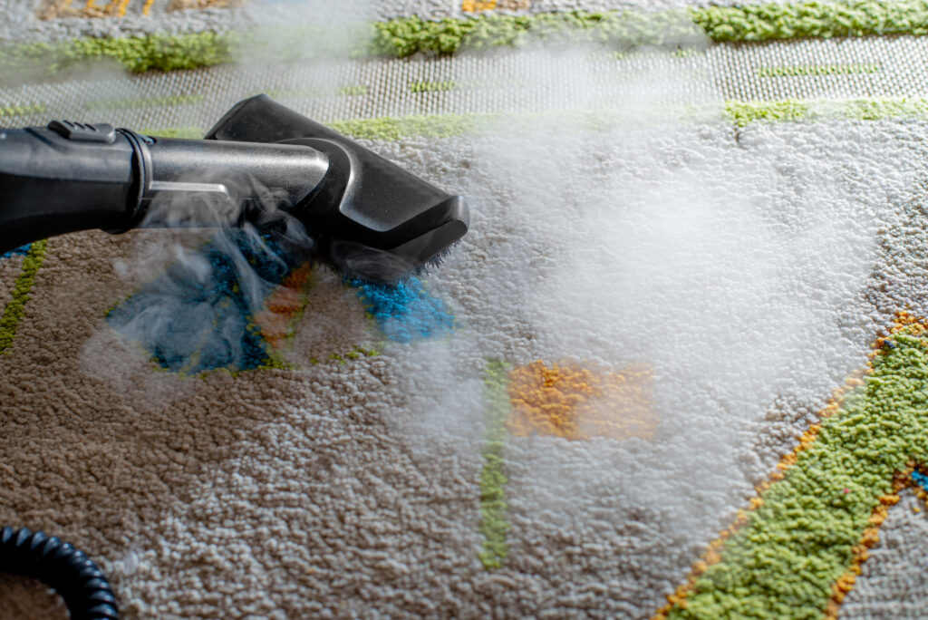 Deep Steam Cleaning for Pet Accidents