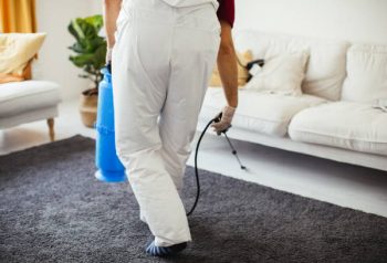 Carpet Sanitization and Deodorizing top-rated Carpet Sanitization and Deodorizing company