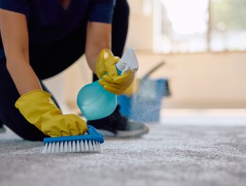 Close up of professional cleaner using brush while cleaning stains on the carpet. Professional Stain Removal Mobile, AL
