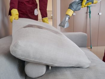 Upholstery Cleaning for Pet Contaminants